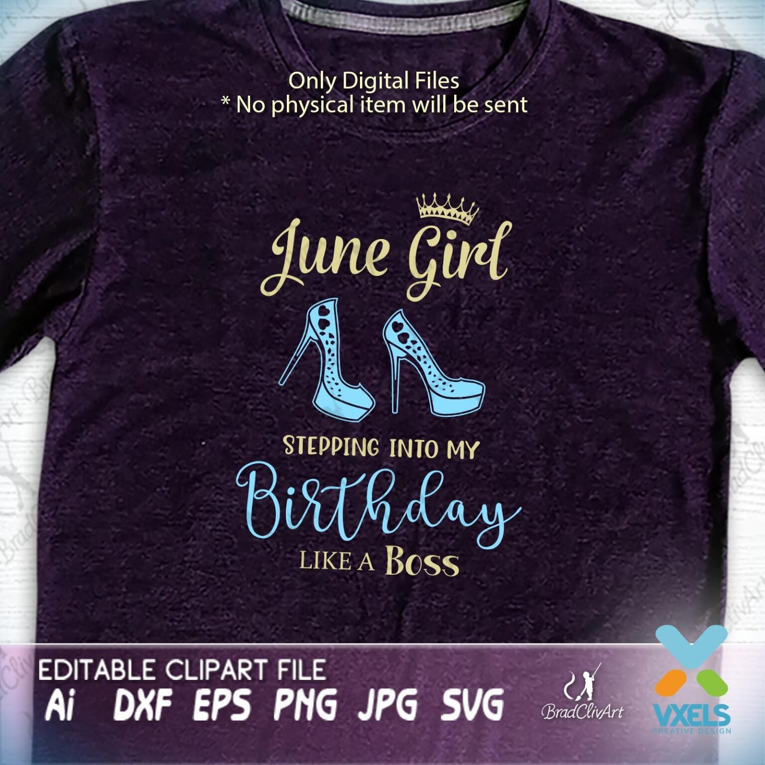 June Girl Stepping Into My Birthday Cricut Cutfiles And Silhouette Vectors